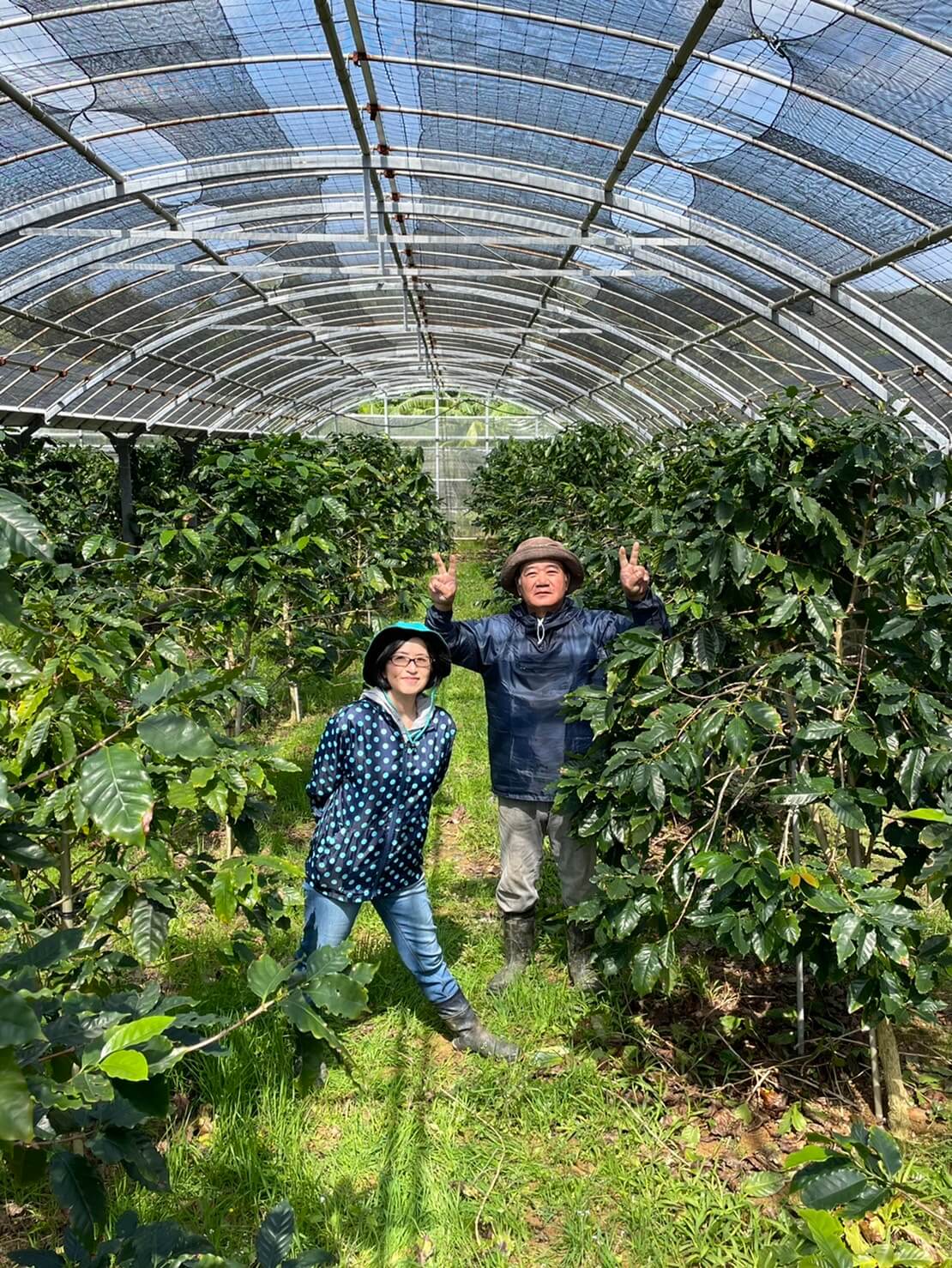 スタッフ